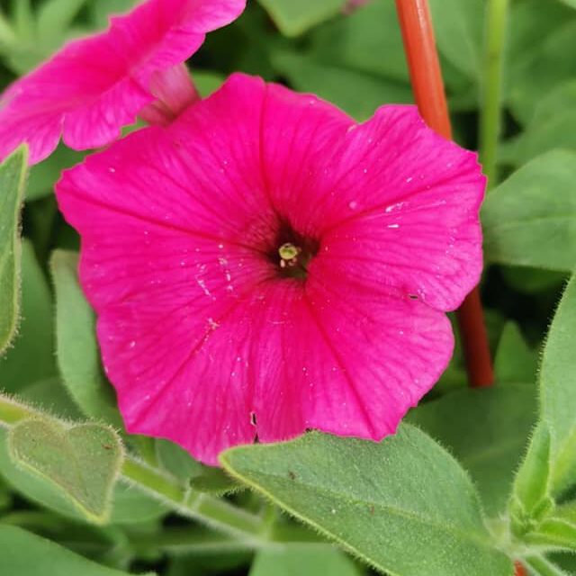 282016033_407599991374592_1437215576789053268_n