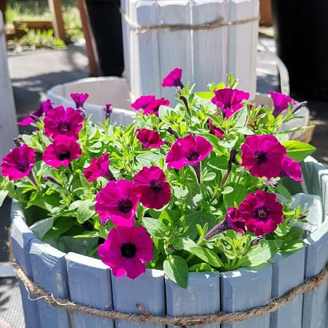 284178397_412527110881880_8400969285318872974_n