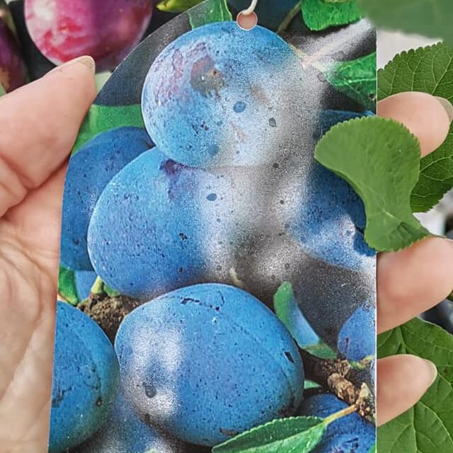 284371905_413257810808810_864213589181640154_n