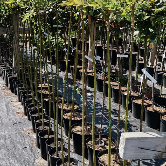 285350798_416350893832835_972930182428642575_n