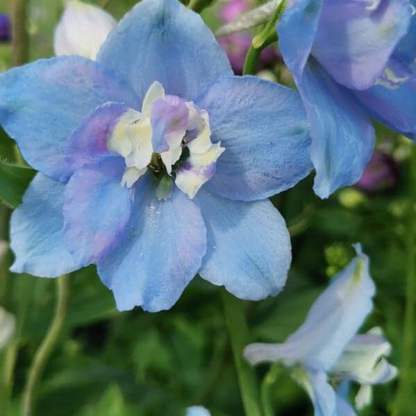 287156750_423271966474061_946851527130035486_n