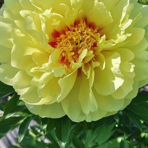 287247945_423645916436666_5834403584706487159_n