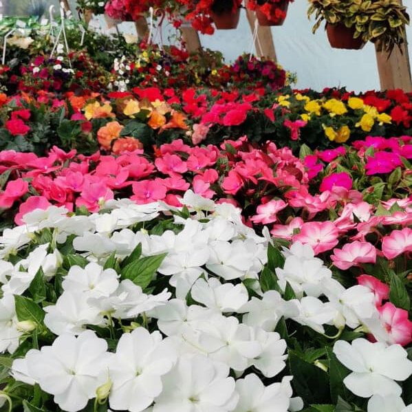 287911230_426137079520883_3665911285631372043_n