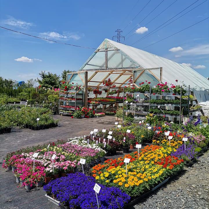 288545313_428057865995471_8872973805310546605_n