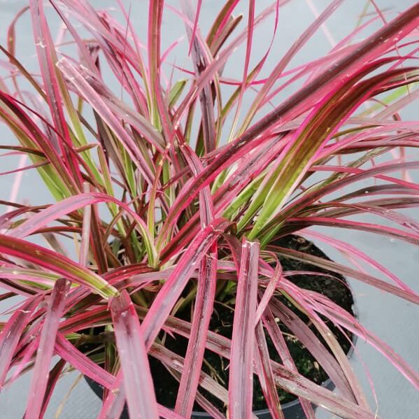 289992409_431728872295037_6193205254943975605_n