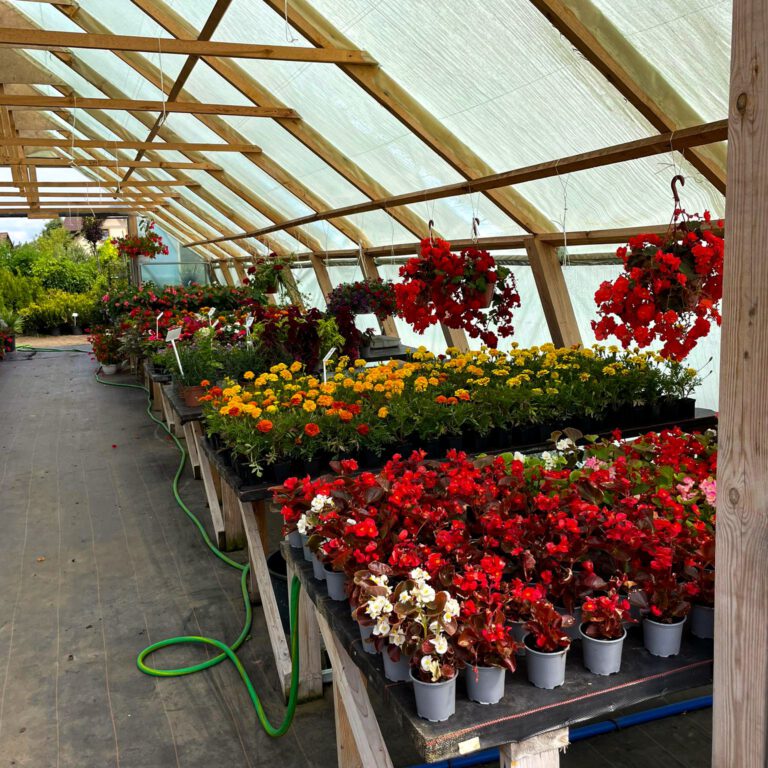 295776989_458219886312602_1418810839896251360_n