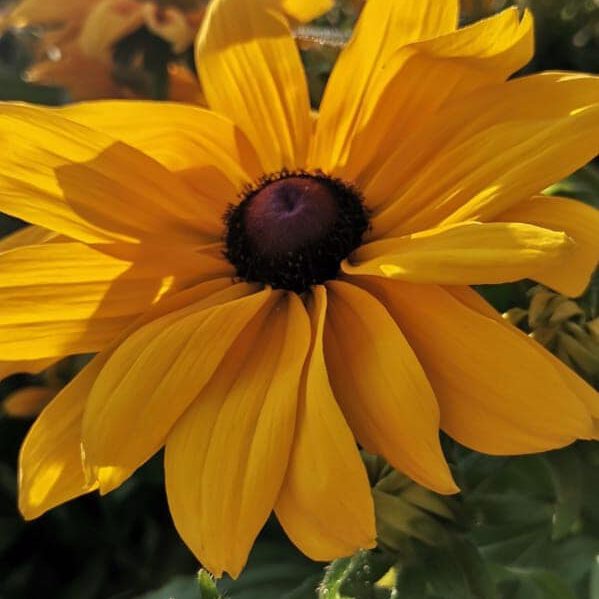 297636128_464292822371975_3880427234963758162_n