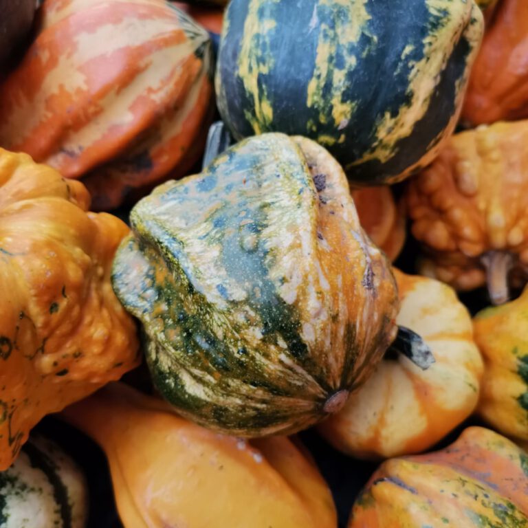 307756391_498785365589387_5061754686062152382_n