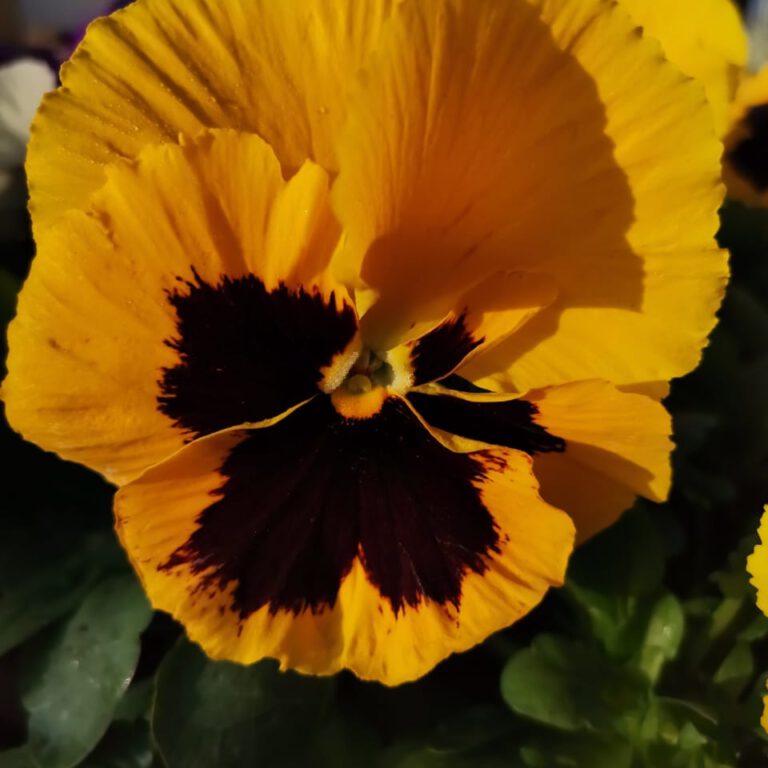 310512243_515945033873420_4564253880447390262_n