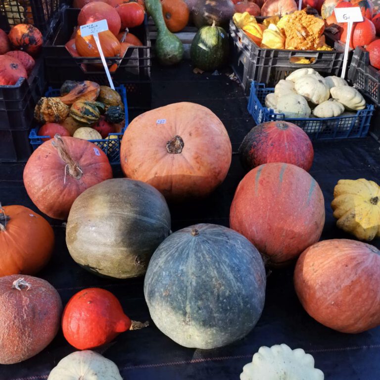 313272648_535607138573876_6547963290035018162_n