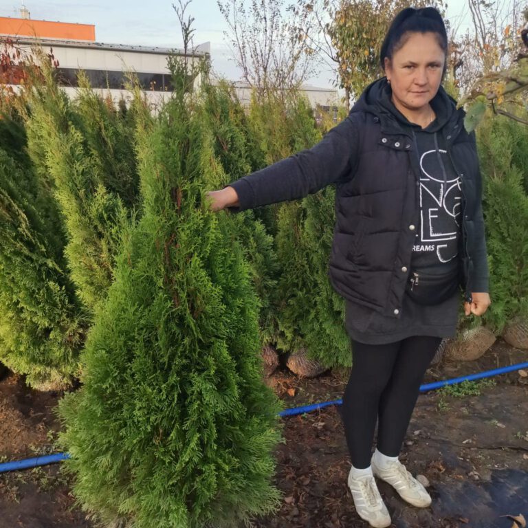 313992416_543792631088660_3840833915060140458_n