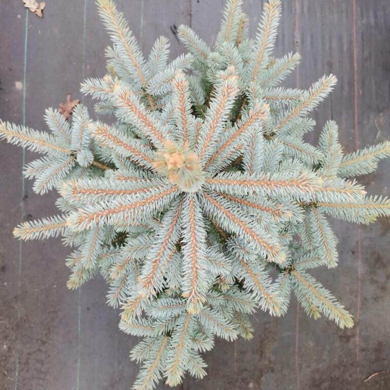 316109207_554861006648489_6304205936429762162_n