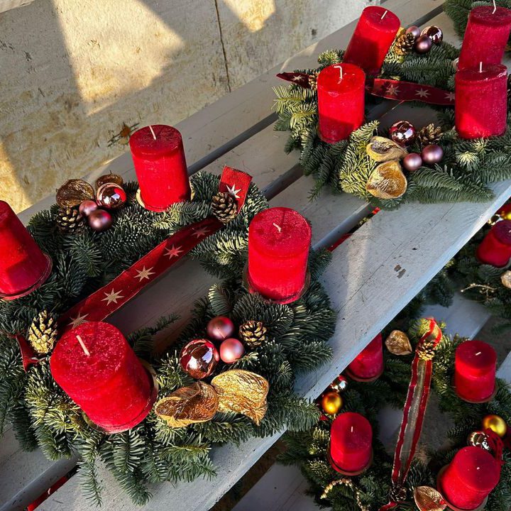 316099580_556864573114799_8227239076045376761_n