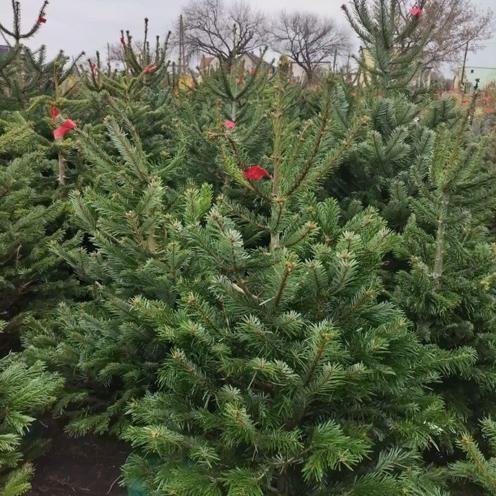 316661700_560430129424910_7303758715442414217_n