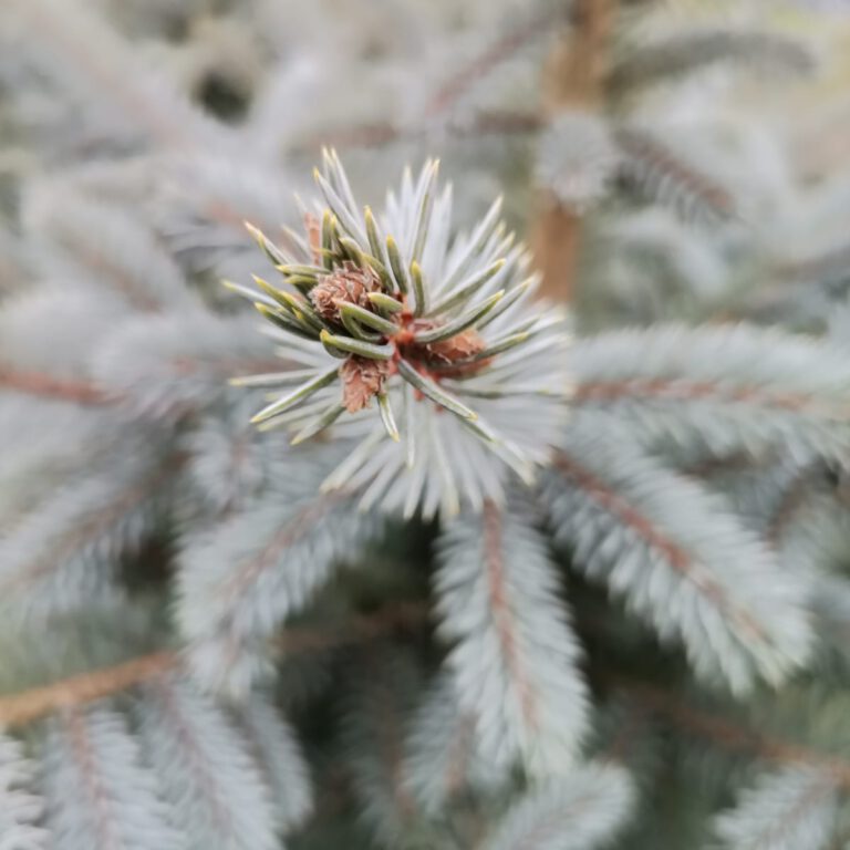 317616427_567668398701083_8820231649181370651_n