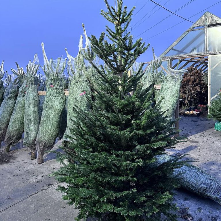 317940832_569834188484504_7423230723134614645_n