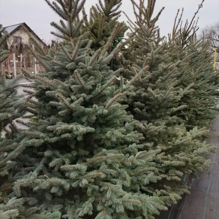 318143314_571455644989025_4911360365790036635_n