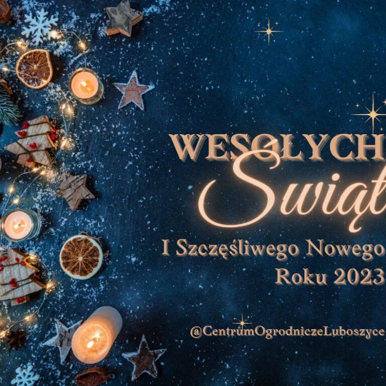 321504556_5827626987324683_2920967220770191647_n