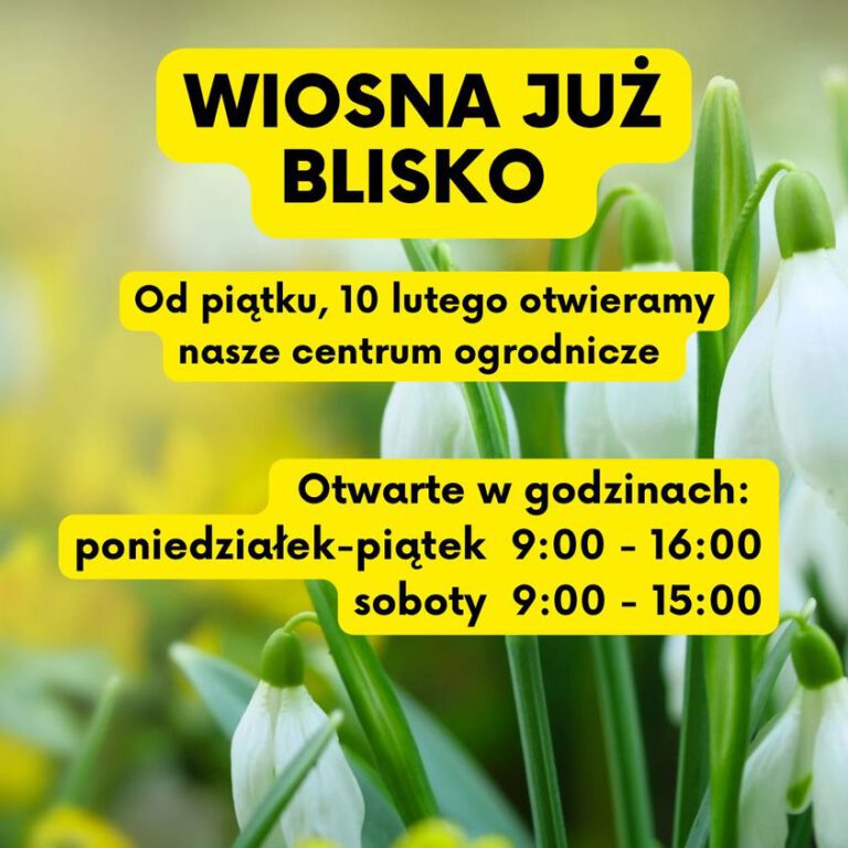 328279154_936247480869005_192947351973190326_n