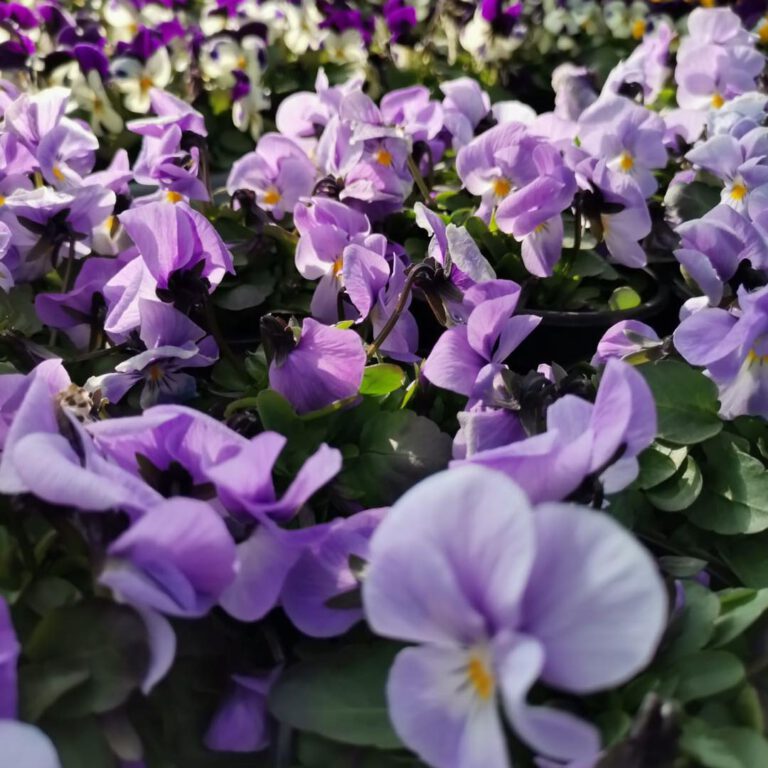 330960177_571091011737541_5402345307970920729_n