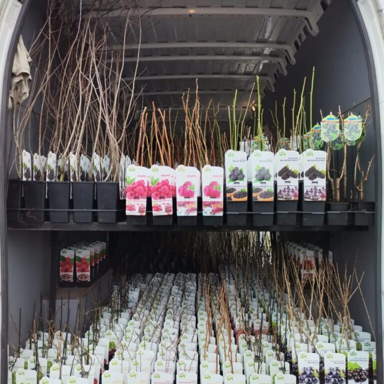 331310430_896773614801196_2090105127058036045_n