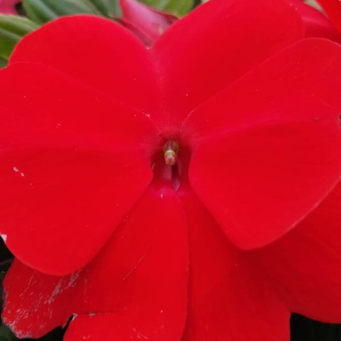 338240323_776109093790286_7920927091837540615_n