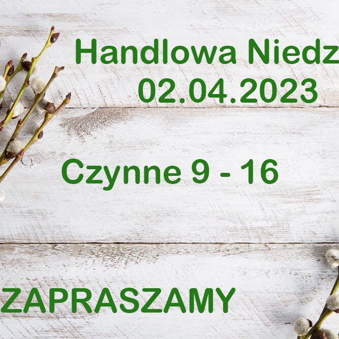 339318149_1378087316092037_5604761983111705499_n