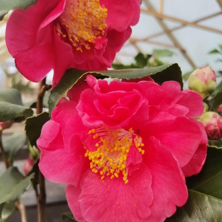 340843853_2896830150459374_4889987896119925860_n