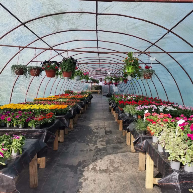 344389722_793474352501915_4951814191757284903_n