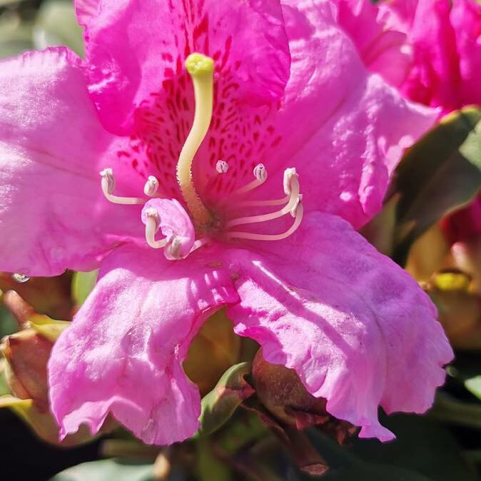 344718823_184412754531879_6863866851639716628_n