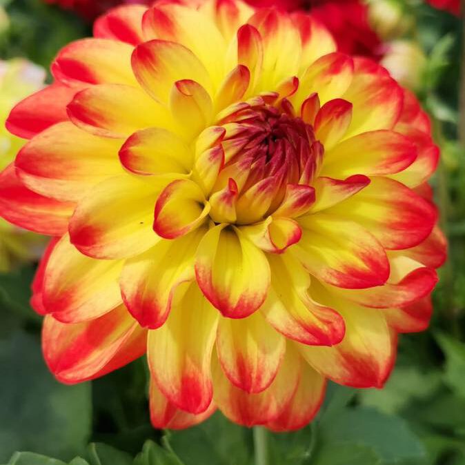 345236898_1270732617173989_8696605706703725128_n