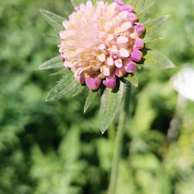 345664353_917472976197510_7635650750031821280_n