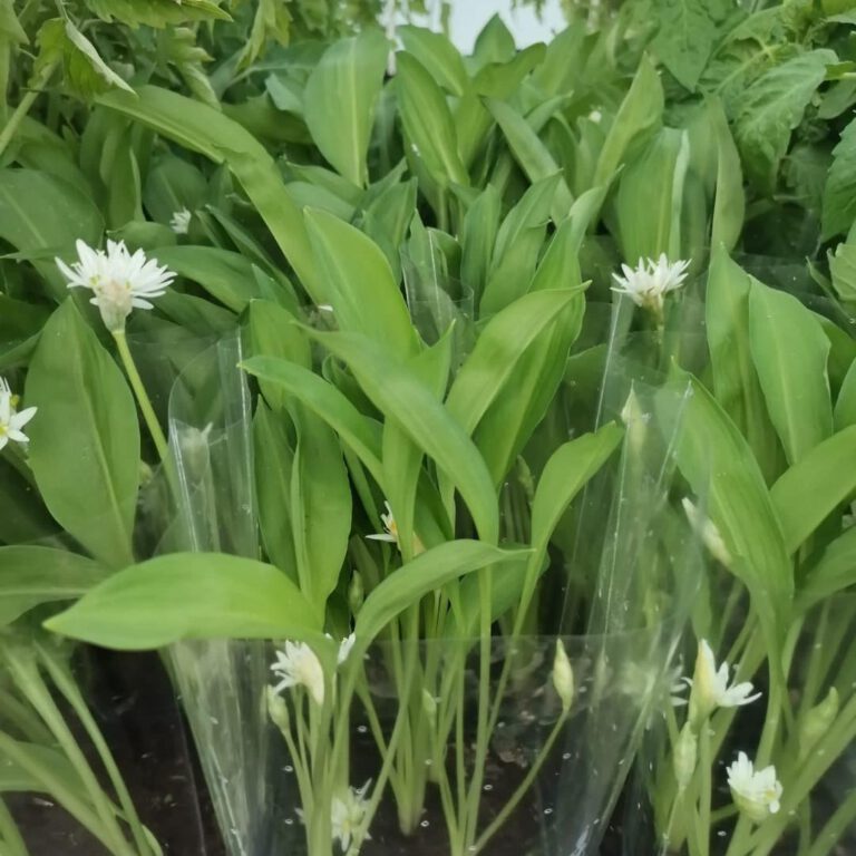 346474642_227811589860634_9020390360406317141_n