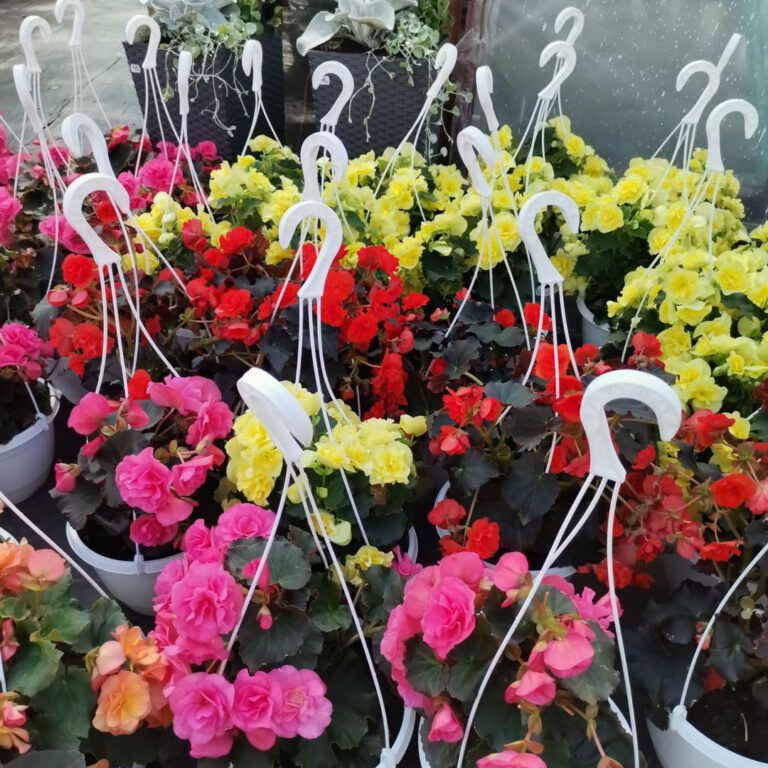 346833510_1224044691640127_636874988431050882_n