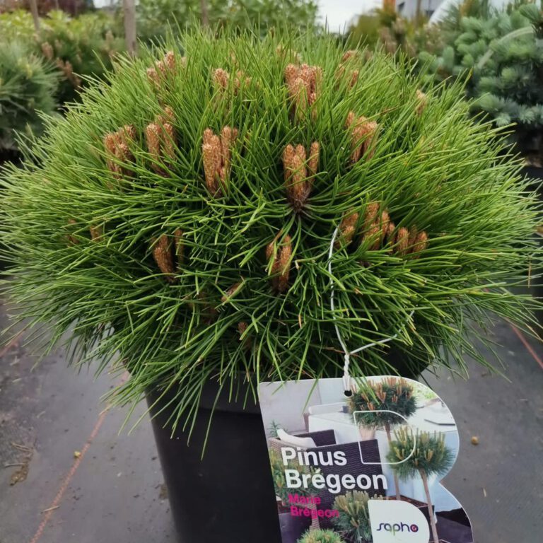 347129330_1372377006947550_6175313931673506417_n