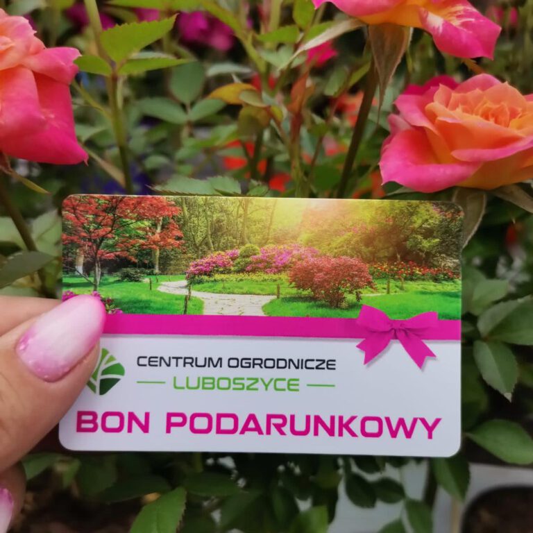 349298382_1674382026308029_5543389990912396826_n