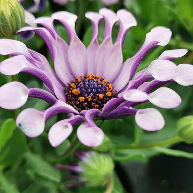 349334451_1174758869990416_5691991737407419836_n