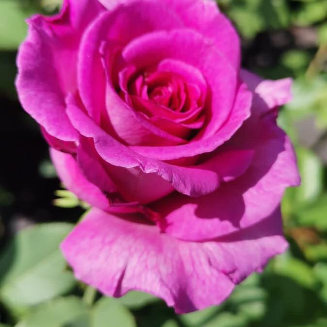 347233287_1181703655852584_7861871272080269120_n