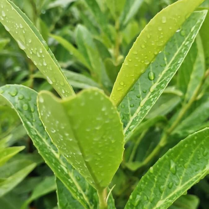 352398915_727149202753001_2348678656695752764_n