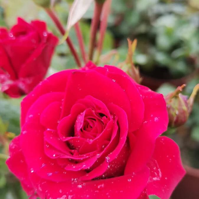 352725963_726690246132230_344889492113010775_n