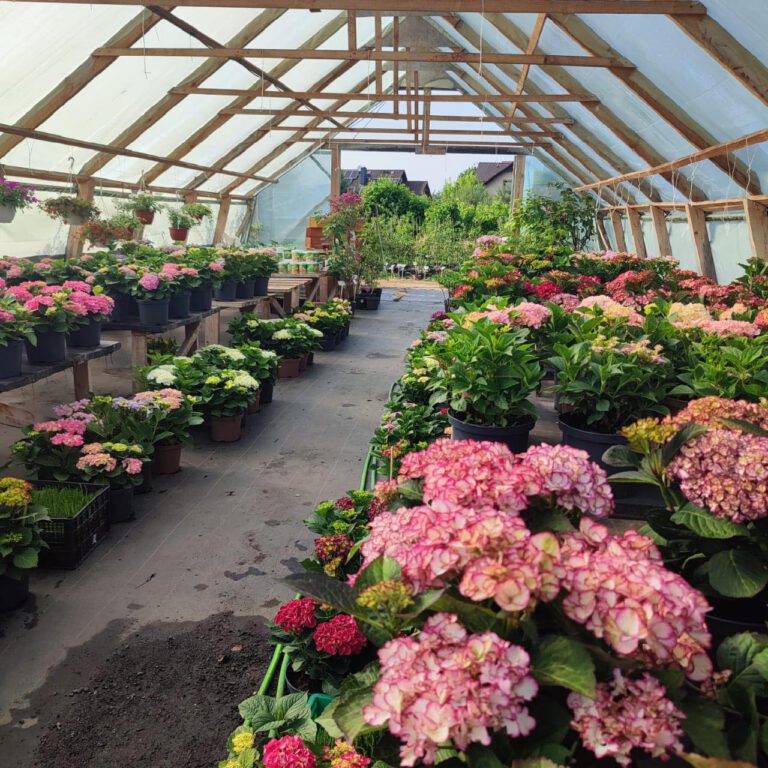 355345282_736236631844258_6802652508392517384_n