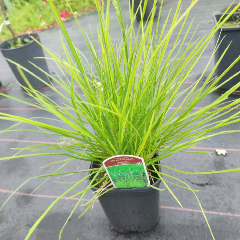 356677644_740136308120957_8171556690213415619_n