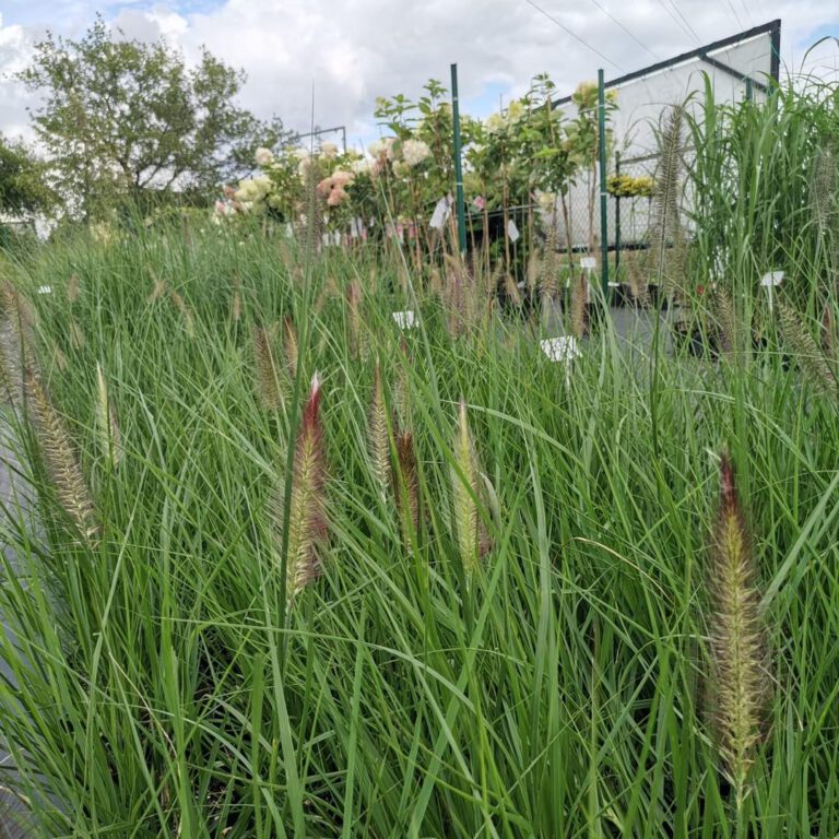 364140517_770385745096013_7210425834034331944_n