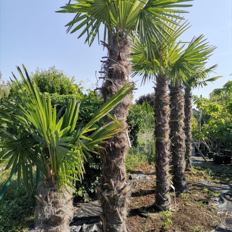 376621923_792738819527372_8776923577069467762_n