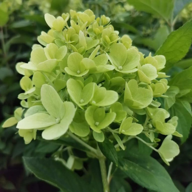 377854314_794741839327070_2006149229976643631_n