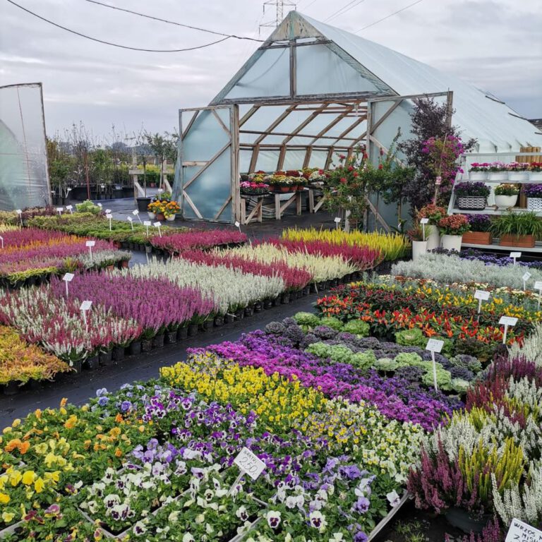 378885903_795389079262346_902877105524656137_n