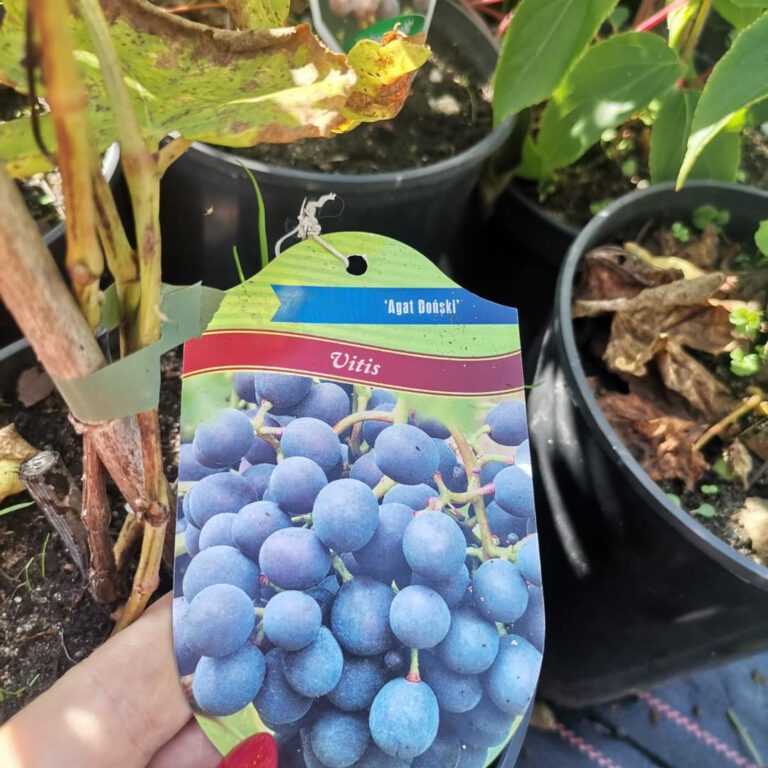 384353725_805433881591199_6156563225191620251_n