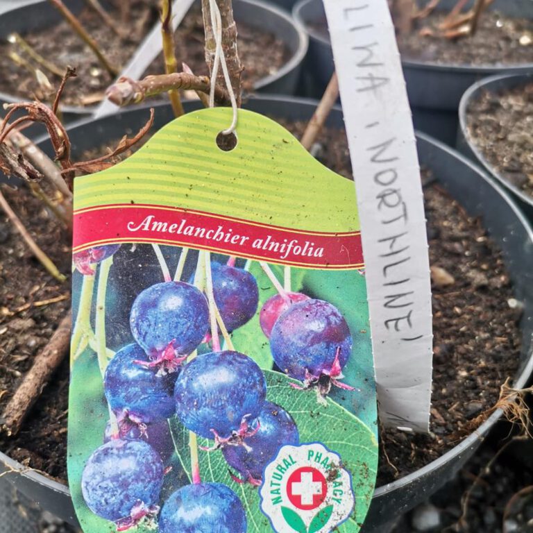 387765916_813497924118128_5175614790647906134_n