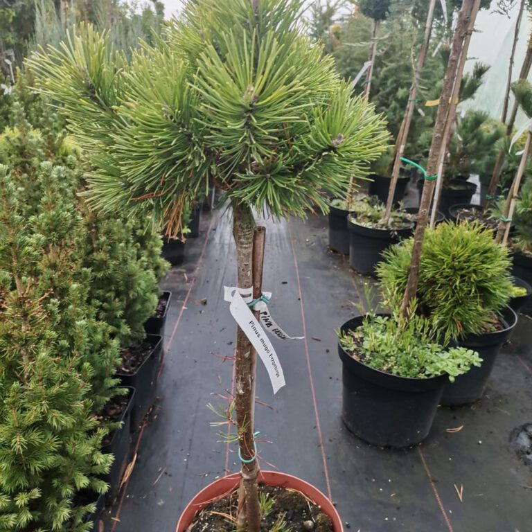 394669022_824220583045862_4585000447276253587_n