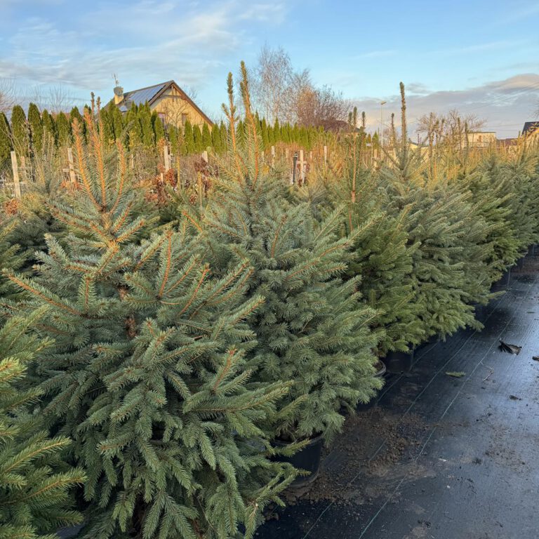 405791031_845942900873630_8269921257420618488_n